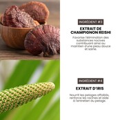 Après-shampoing professionnel nettoyant et volume (Cleasing & Volumizing) pour chiens 3,8L HYPONIC Après-shampoing professionnel nettoyant et volume (Cleasing & Volumizing) pour chiens 3,8L HYPONIC