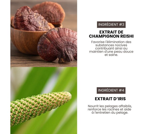 Professionele reinigende en volumegevende conditioner voor honden 3.8L HYPONIC