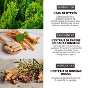 Shampoing professionnel nettoyant et volume pour chiens de concours 3,8 L  HYPONIC