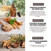 Après-shampoing professionnel nettoyant et volume pour chiens de concours 500 ml  HYPONIC Après-shampoing professionnel nettoyant et volume pour chiens de concours 500 ml  HYPONIC