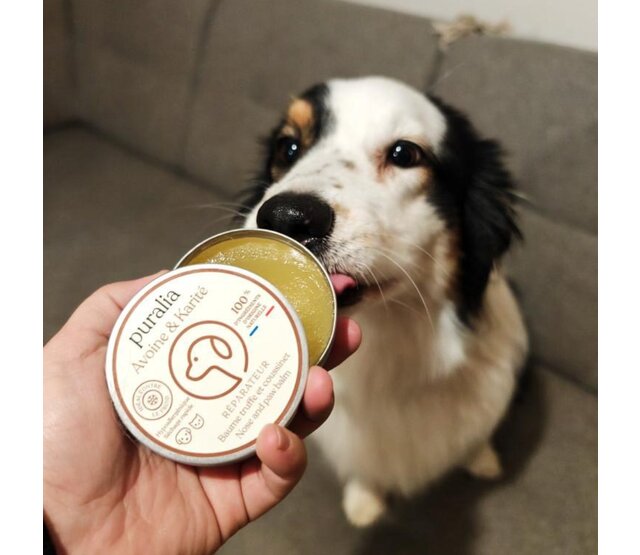 Truffle and Paw Balm for dogs and cats 50 ml PURALIA Truffle and Paw Balm for dogs and cats 50 ml PURALIA