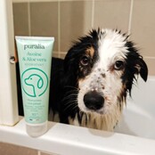 Shampoo voor alle vachten 250 ml - PURALIA