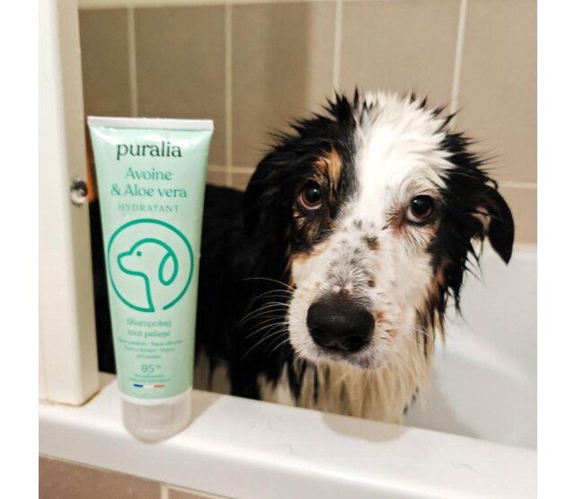 Shampoo voor alle vachten 250 ml - PURALIA