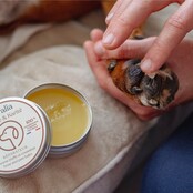 Baume truffe et coussinets pour chiens et chats 50 ml PURALIA Baume truffe et coussinets pour chiens et chats 50 ml PURALIA