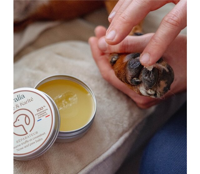 Truffle and Paw Balm for dogs and cats 50 ml PURALIA Truffle and Paw Balm for dogs and cats 50 ml PURALIA