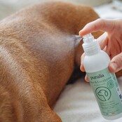 Stop odour spray for dogs and cats 150 ml PURALIA Stop odour spray for dogs and cats 150 ml PURALIA