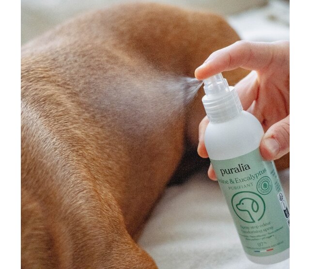 Stop odour spray for dogs and cats 150 ml PURALIA Stop odour spray for dogs and cats 150 ml PURALIA