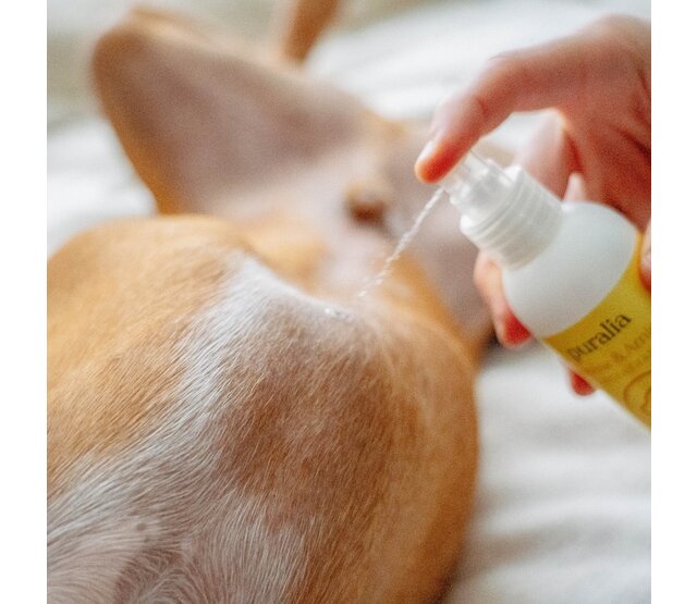 Lotion nettoyante et réparatrice pour chiens et chats 150 ml PURALIA Lotion nettoyante et réparatrice pour chiens et chats 150 ml PURALIA