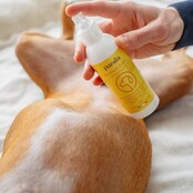 Lotion nettoyante et réparatrice pour chiens et chats 150 ml PURALIA Lotion nettoyante et réparatrice pour chiens et chats 150 ml PURALIA