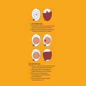 LED-eiertester voor alle soorten eieren CHICK'A