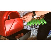 Plastic nest with compartments for eggs COPELE