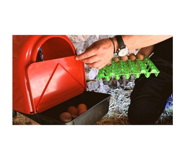 Plastic hok met compartimenten voor eieren COPELE Plastic hok met compartimenten voor eieren COPELE
