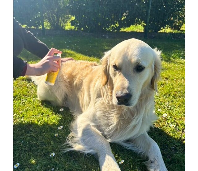 Reinigende en herstellende lotion voor honden en katten 150 ml PURALIA Reinigende en herstellende lotion voor honden en katten 150 ml PURALIA