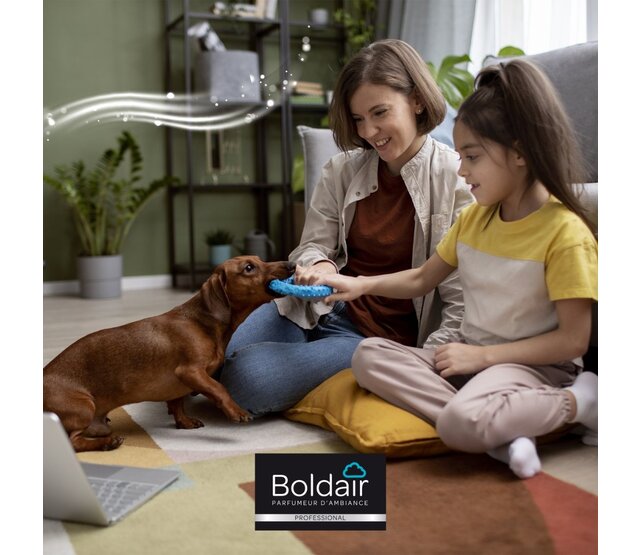 Destructeur d'odeurs animales 500 ml BOLDAIR Destructeur d'odeurs animales 500 ml BOLDAIR