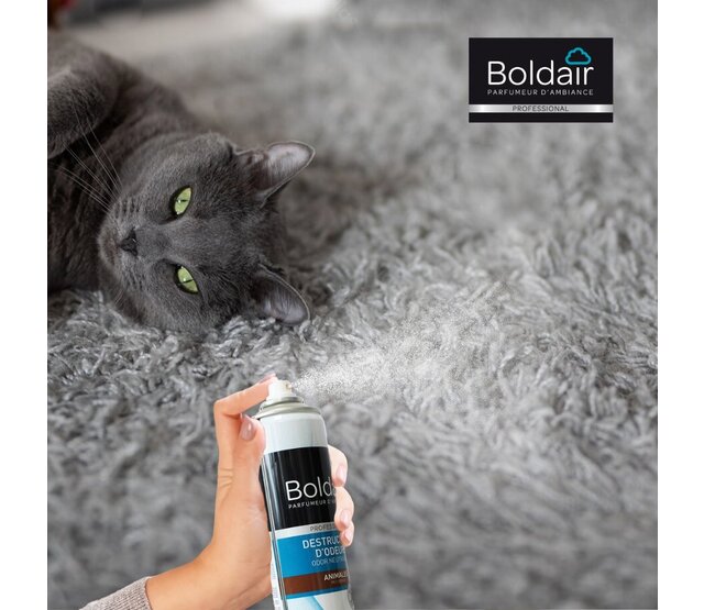 Destructeur d'odeurs animales 500 ml BOLDAIR Destructeur d'odeurs animales 500 ml BOLDAIR