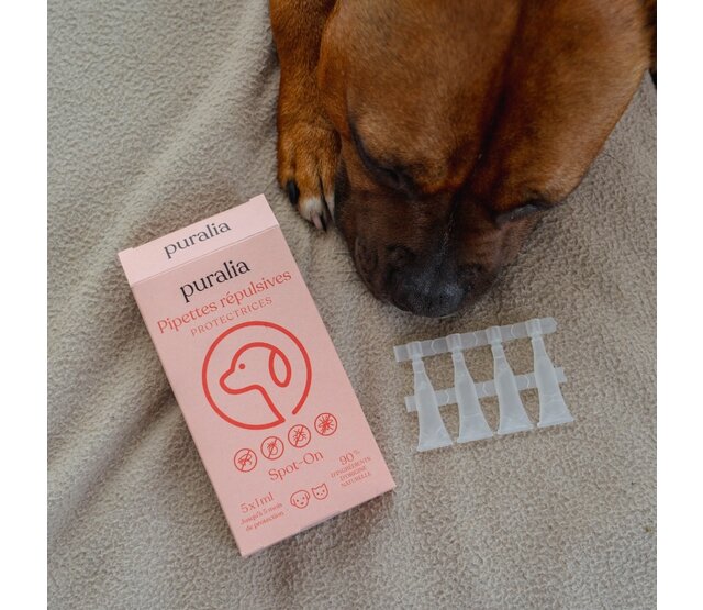 5 pipettes répulsives Spot-on  pour chiens et chats 1 ml PURALIA 5 pipettes répulsives Spot-on  pour chiens et chats 1 ml PURALIA