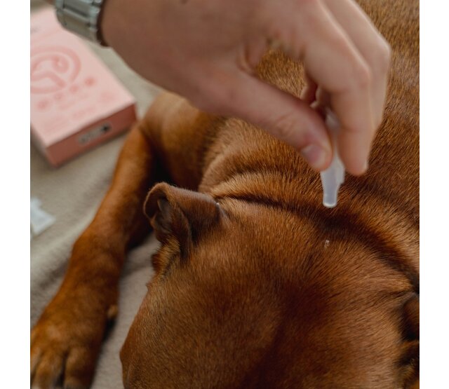 5 Spot-on repellent pipettes for dogs and cats 1 ml PURALIA 5 Spot-on repellent pipettes for dogs and cats 1 ml PURALIA