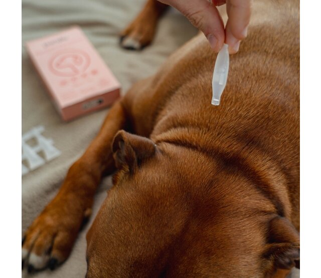 5 pipettes répulsives Spot-on  pour chiens et chats 1 ml PURALIA 5 pipettes répulsives Spot-on  pour chiens et chats 1 ml PURALIA