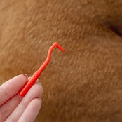 3 Tire-tiques pour chiens et chats PURALIA 3 Tire-tiques pour chiens et chats PURALIA