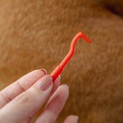 3 Tire-tiques pour chiens et chats PURALIA 3 Tire-tiques pour chiens et chats PURALIA