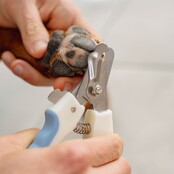 Coupe-griffes pour chiens et chats PURALIA Coupe-griffes pour chiens et chats PURALIA