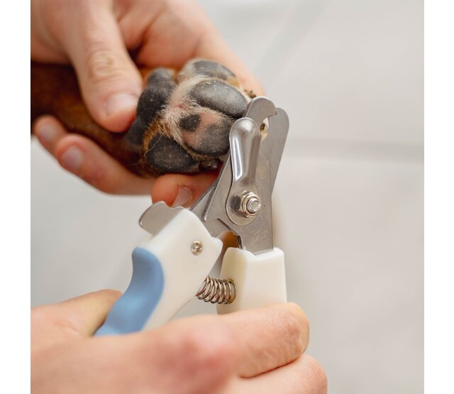 Coupe-griffes pour chiens et chats PURALIA Coupe-griffes pour chiens et chats PURALIA