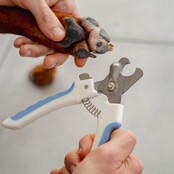 Claw clippers for dogs and cats PURALIA Claw clippers for dogs and cats PURALIA