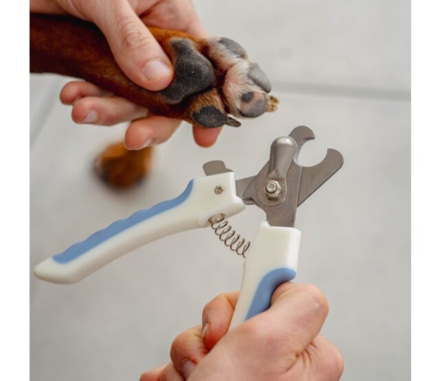 Claw clippers for dogs and cats PURALIA Claw clippers for dogs and cats PURALIA