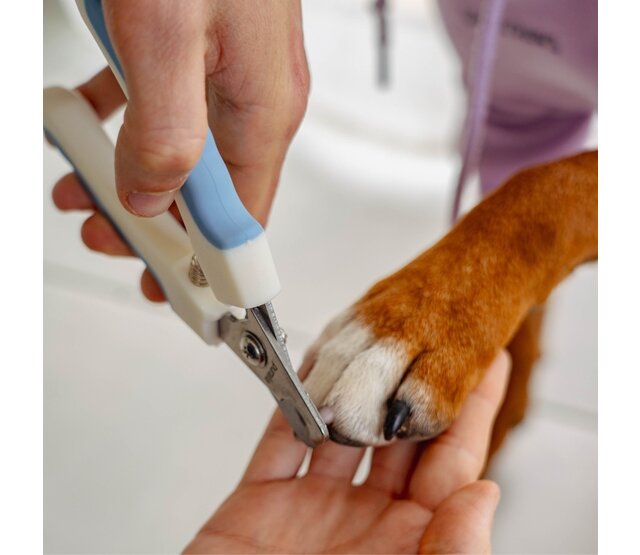 Coupe-griffes pour chiens et chats PURALIA Coupe-griffes pour chiens et chats PURALIA