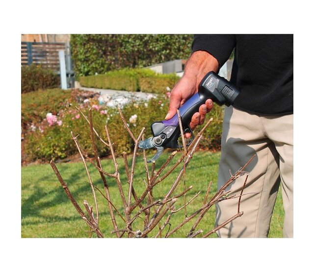 Sécateur électrique pour jardin CAMPAGNOLA