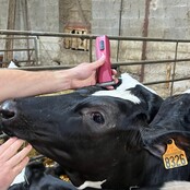 Tondeuse de finition SAPHIR OPAL XTEND 2 batteries HEINIGER