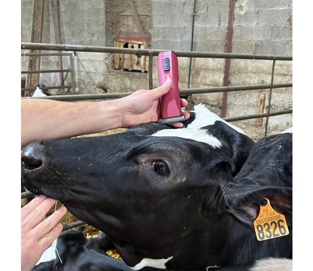 Tondeuse de finition SAPHIR OPAL XTEND 1 batterie HEINIGER