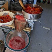 Presse tomate manuel n°3 en inox REBER Presse tomate manuel n°3 en inox REBER