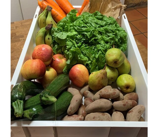 Bac alimentaire professionnel rectangulaire en plastique 20 L Bac alimentaire professionnel rectangulaire en plastique 20 L