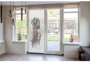 Vliegengordijn Liso met Labrador ✔ Doe-het-zelf pakket