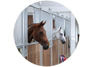 Fliegenschutz für Pferdeställe