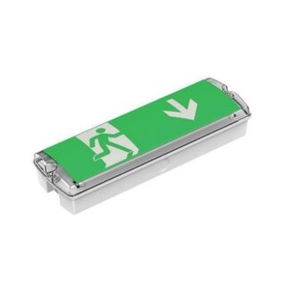 GGS LED opbouw noodverlichting, 2,5W, vluchtwegverlichting en anti-paniekverlichting, incl. pictoset