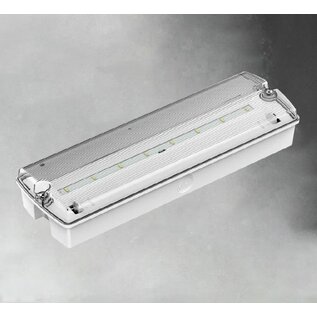 GGS LED opbouw noodverlichting, 2,5W, vluchtwegverlichting en anti-paniekverlichting, incl. pictoset