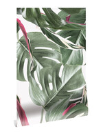 Bladeren behang Monstera