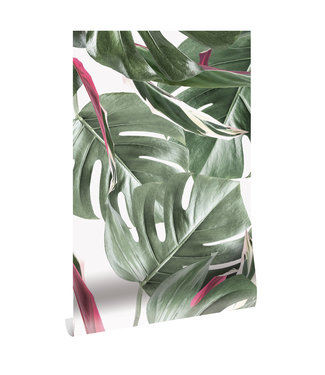 Herhaalbaar Botanical Tapete Monstera