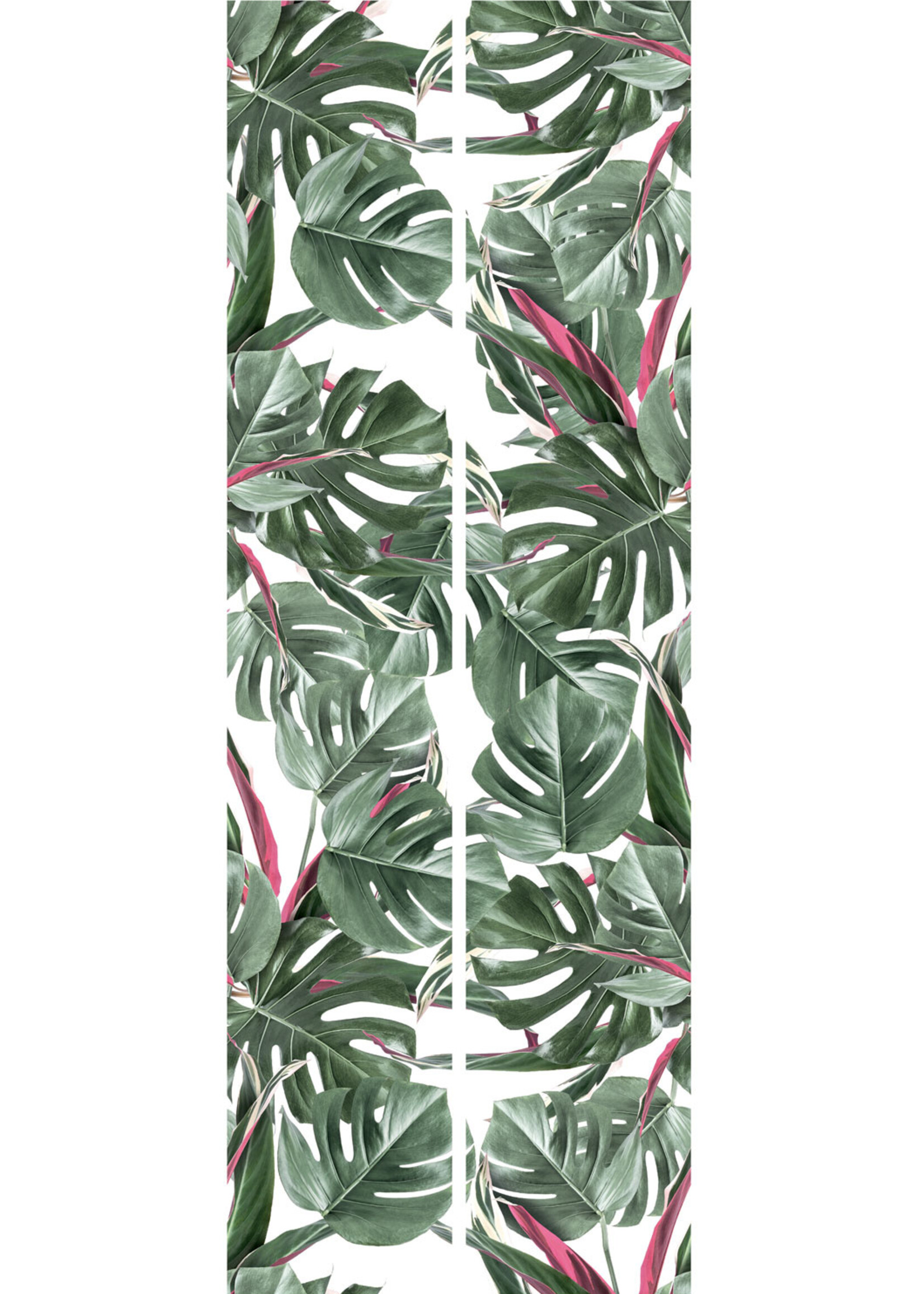 Bladeren behang Monstera, 97.4 x 280 cm