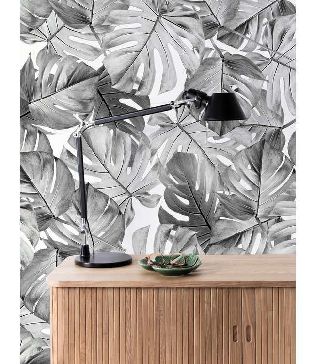 Bladeren behang Monstera, 97.4 x 280 cm