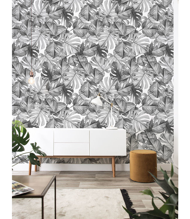 Bladeren behang Monstera, 97.4 x 280 cm