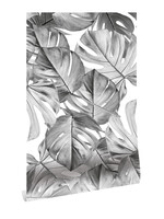 Bladeren behang Monstera