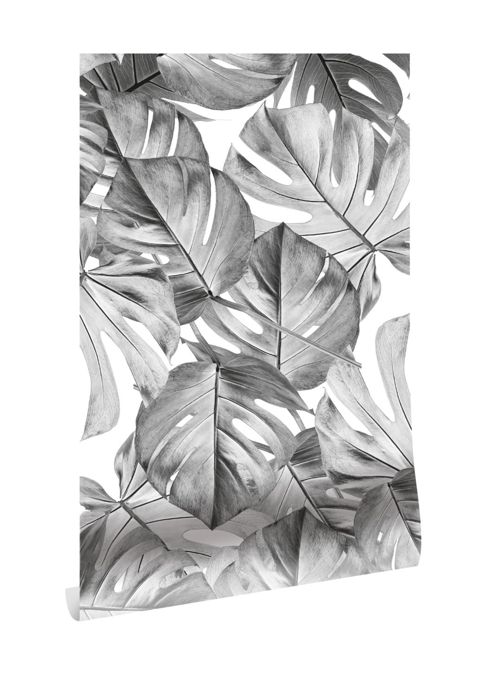 Botanical Tapete Monstera, 97.4 x 280 cm