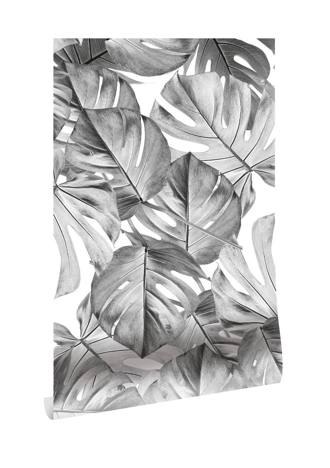 Tapete Monstera von KEK Amsterdam WP-583 - KEK Amsterdam