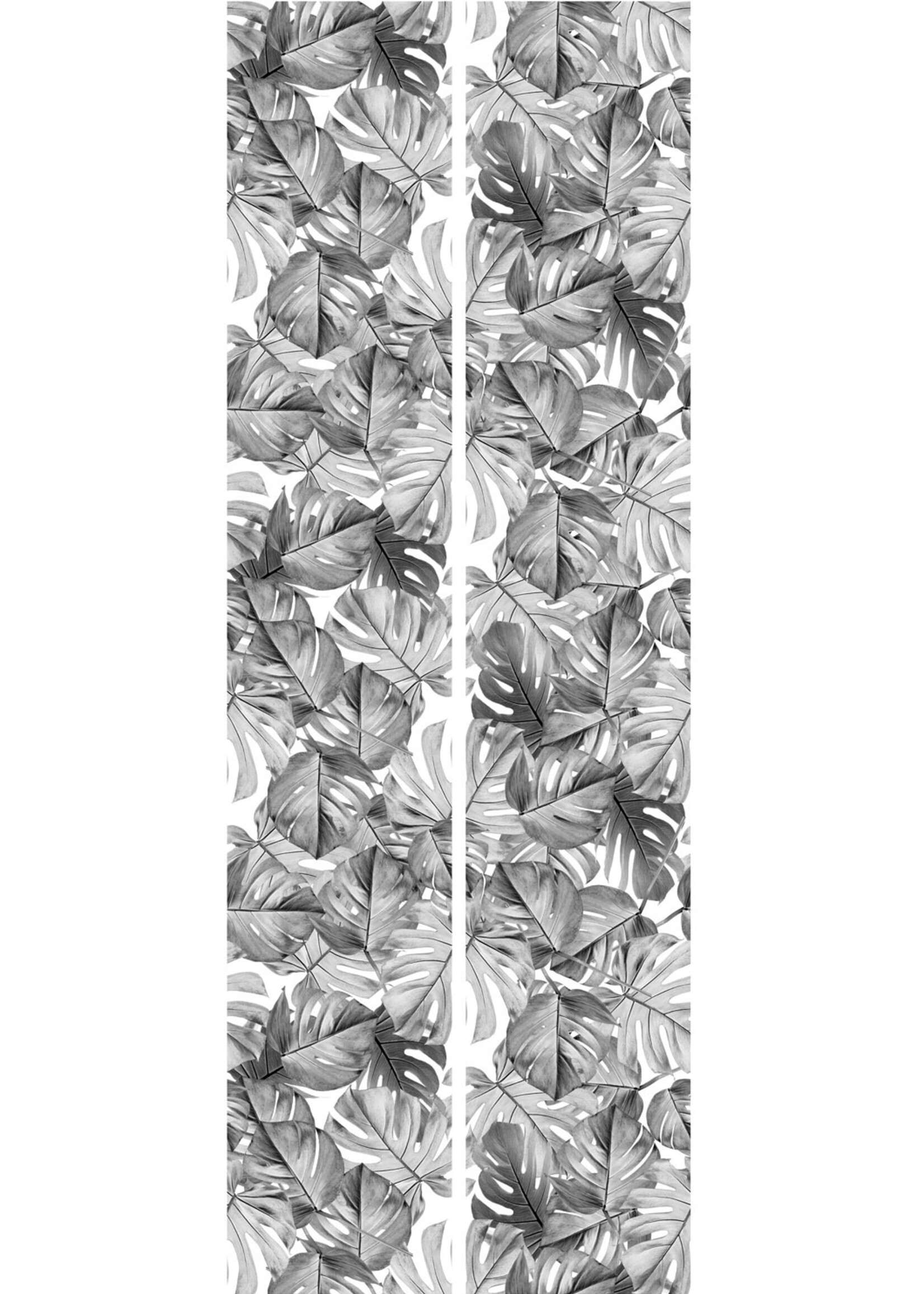 Botanical wallpaper Monstera, 97.4 x 280 cm