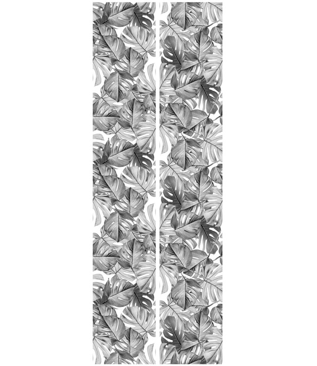 Bladeren behang Monstera, 97.4 x 280 cm