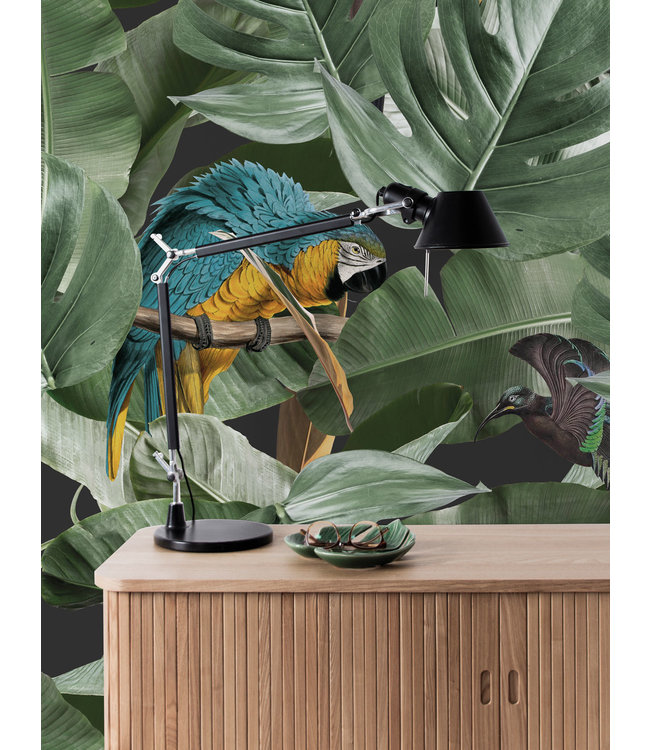 Botanisch behang Botanical Birds, 97.4 x 280 cm