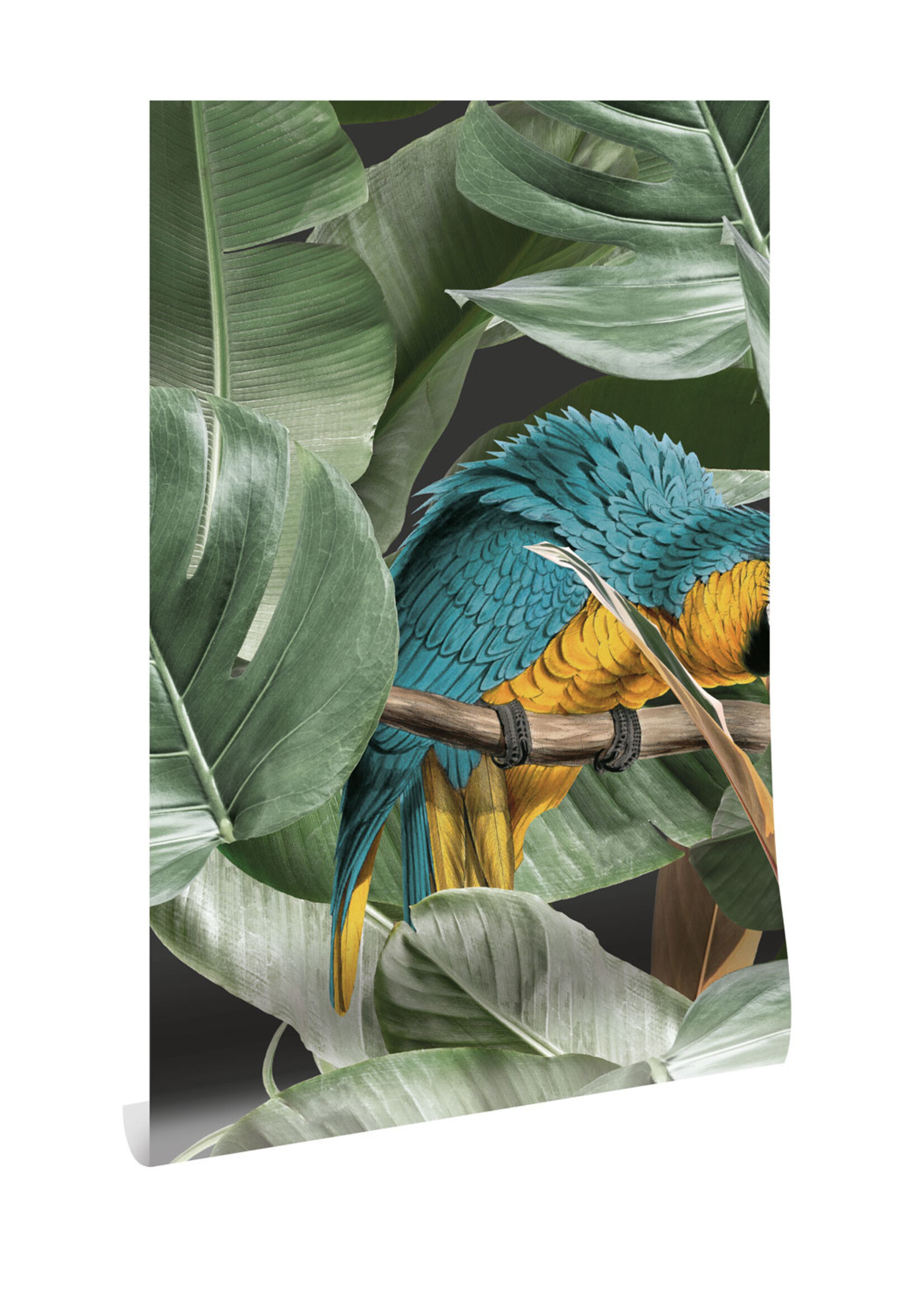 Wallpaper Botanical Birds, 97.4 x 280 cm